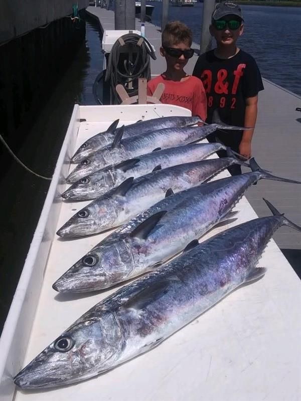 Shark and offshore fishing
