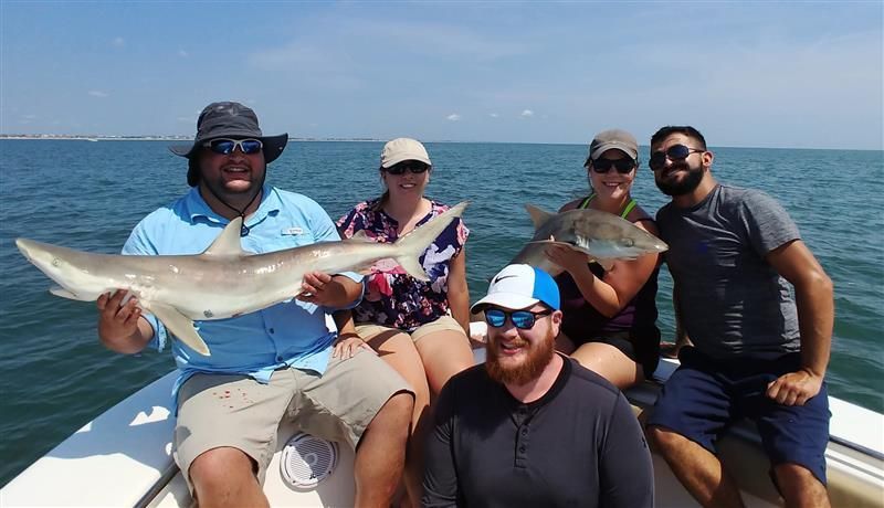 Shark and offshore fishing