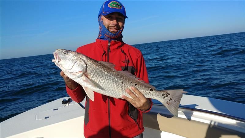 Shark and offshore fishing
