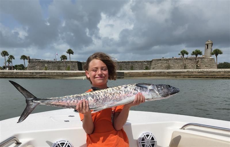 Shark and offshore fishing