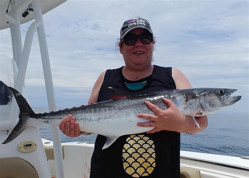 Shark and offshore fishing