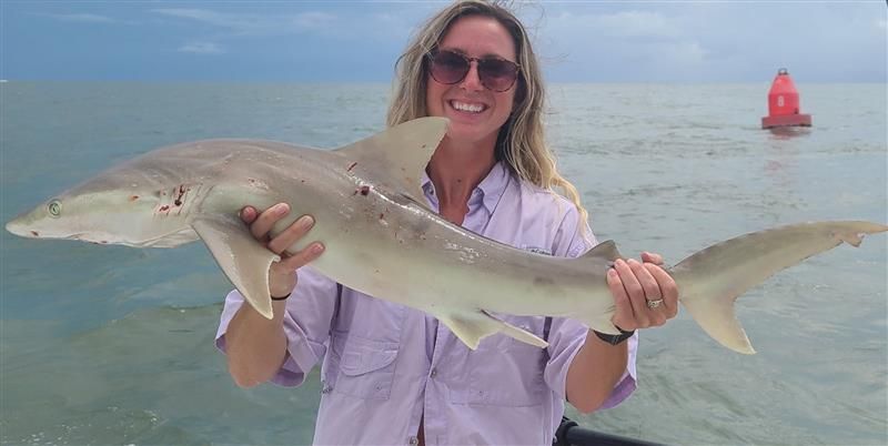 Shark and offshore fishing