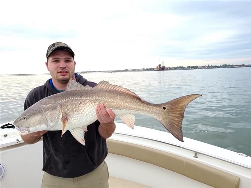 Shark and offshore fishing