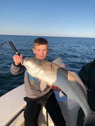 Shark and offshore fishing