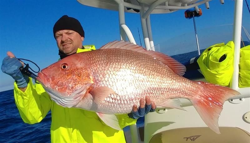 Shark and offshore fishing