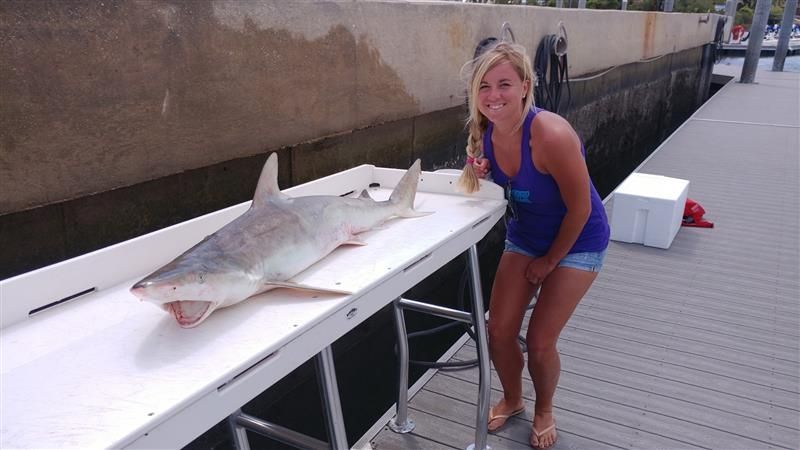 Shark and offshore fishing