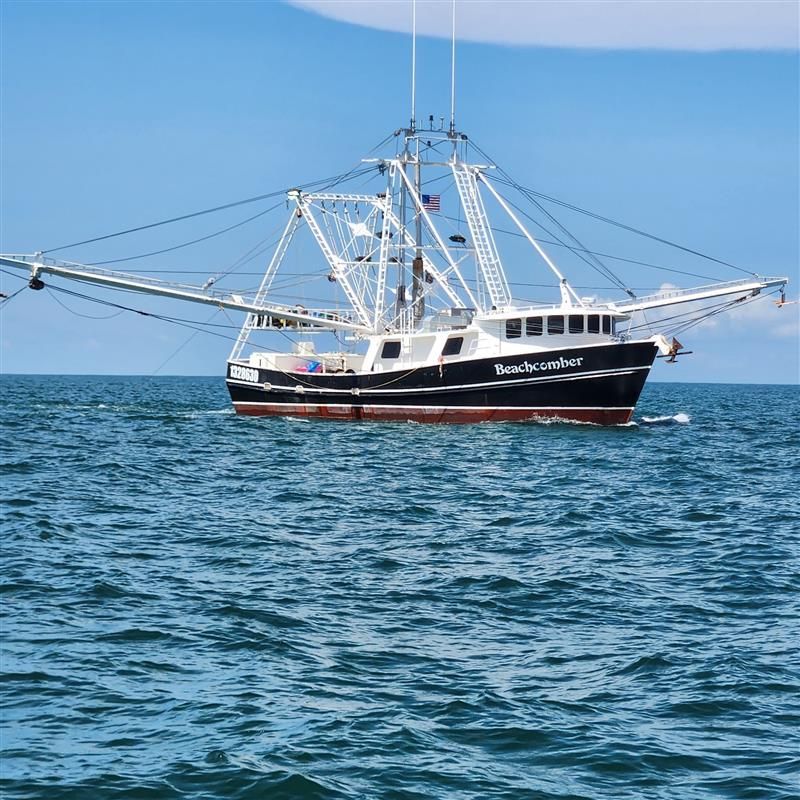 Shark and offshore fishing