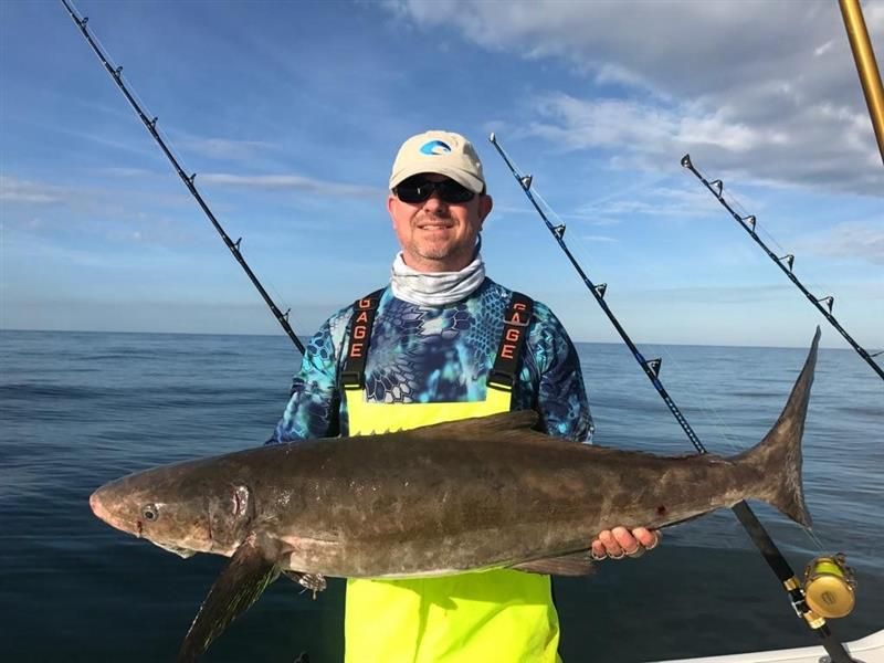 Shark and offshore fishing