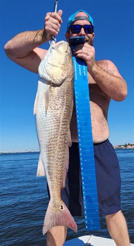 Shark and offshore fishing