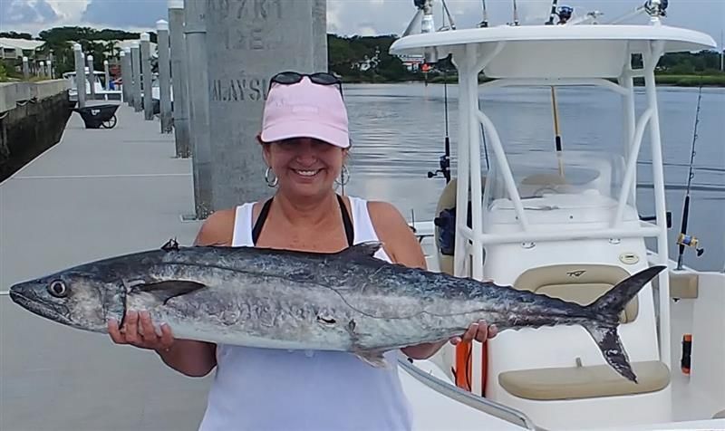 Shark and offshore fishing