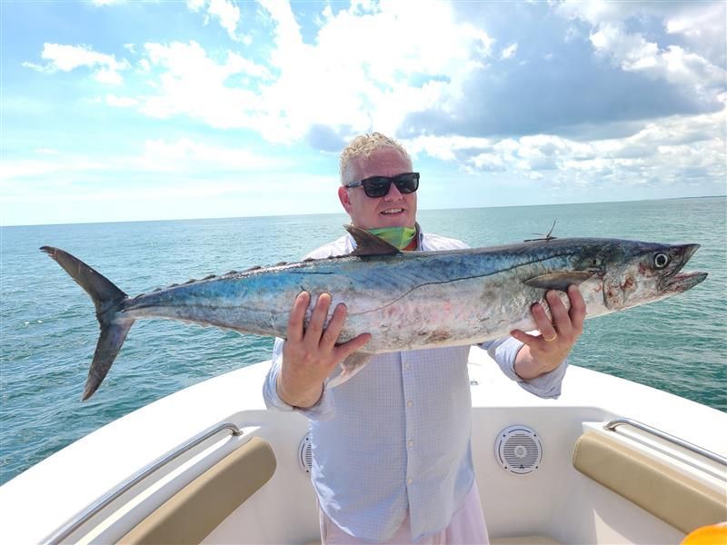 Shark and offshore fishing