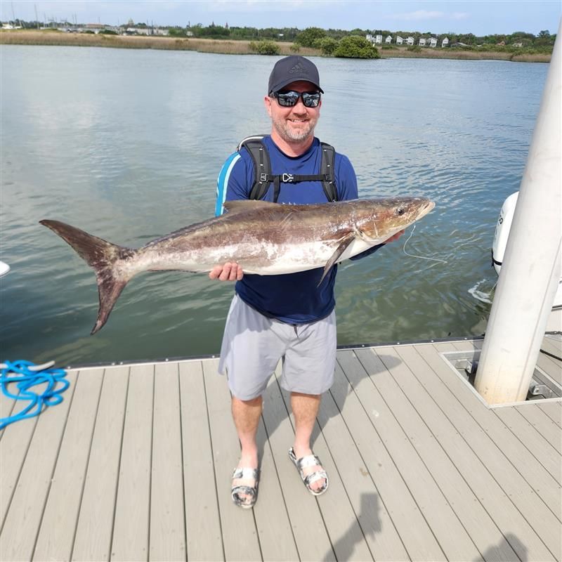 Shark and offshore fishing