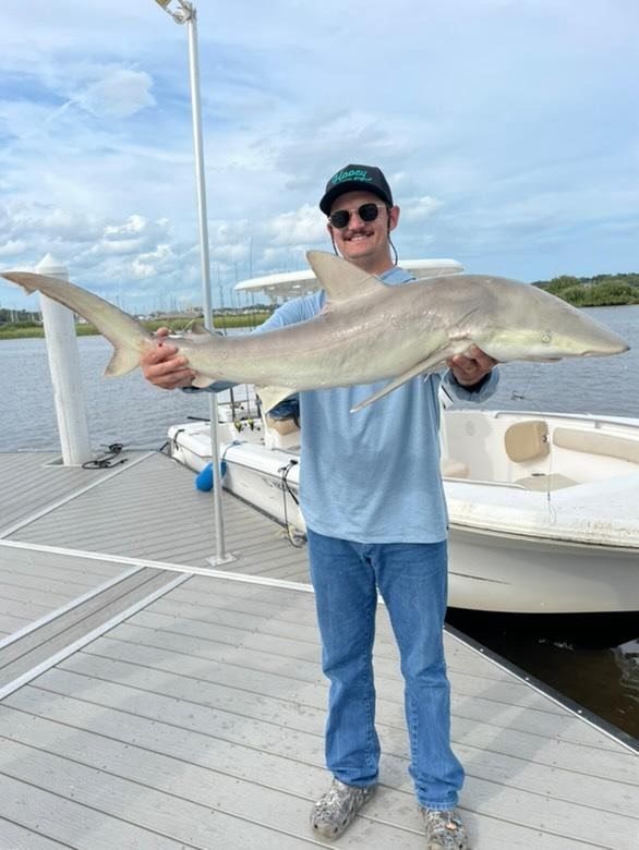 Shark fishing