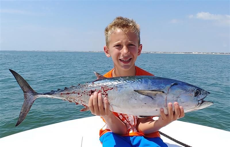 Shark and offshore fishing
