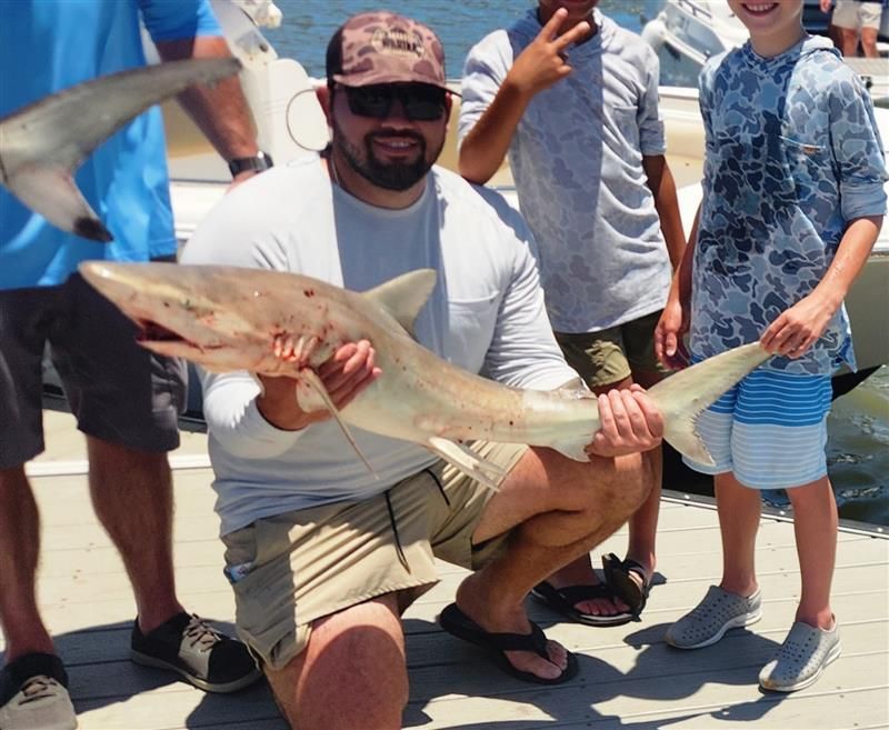 Shark fishing