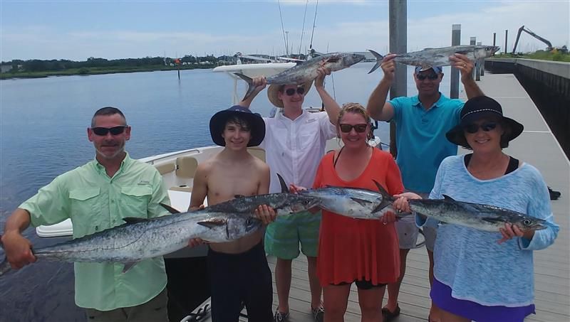 Shark and offshore fishing