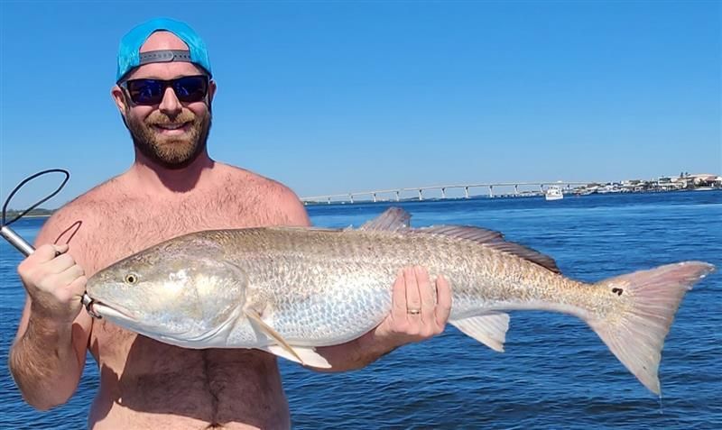 Shark and offshore fishing