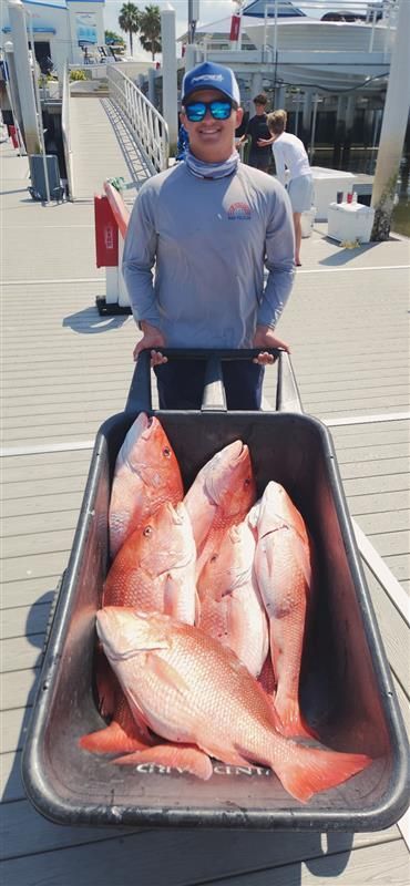 Shark and offshore fishing