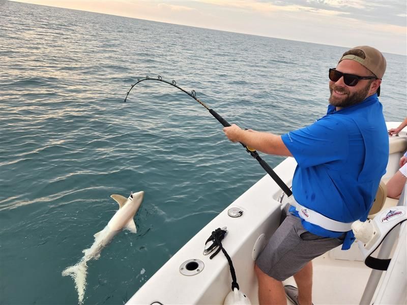 Shark fishing