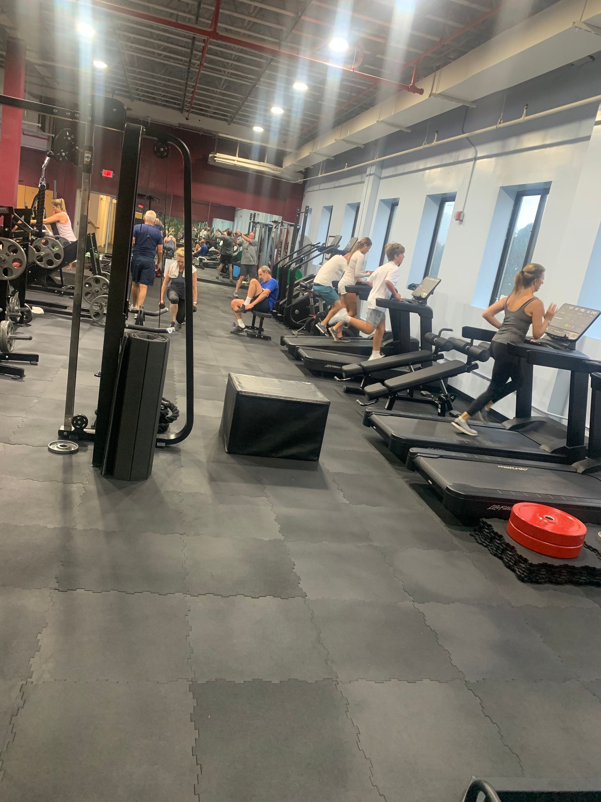 A group of people are using treadmills in a gym.