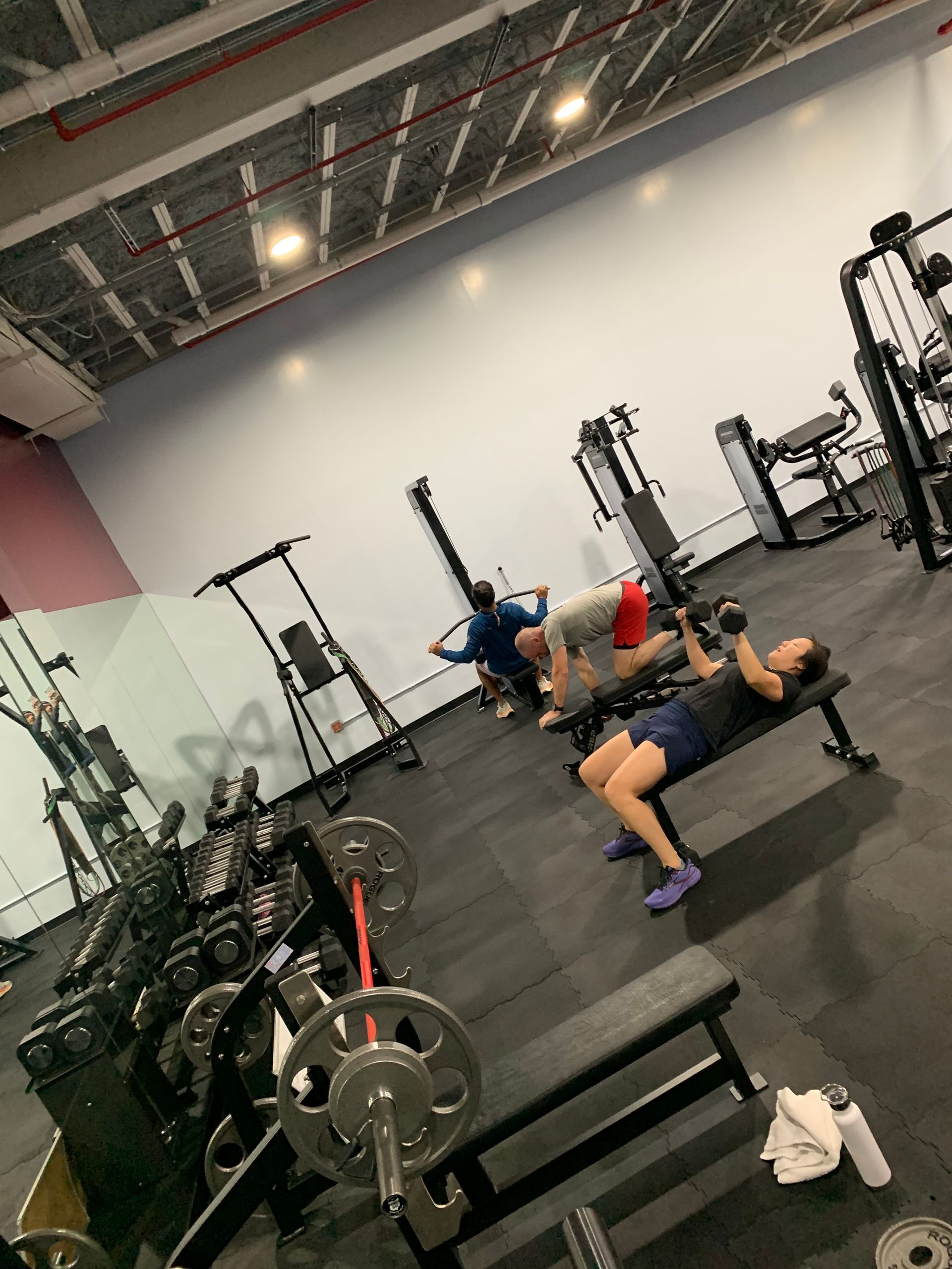 A woman is lifting dumbbells on a bench in a gym.