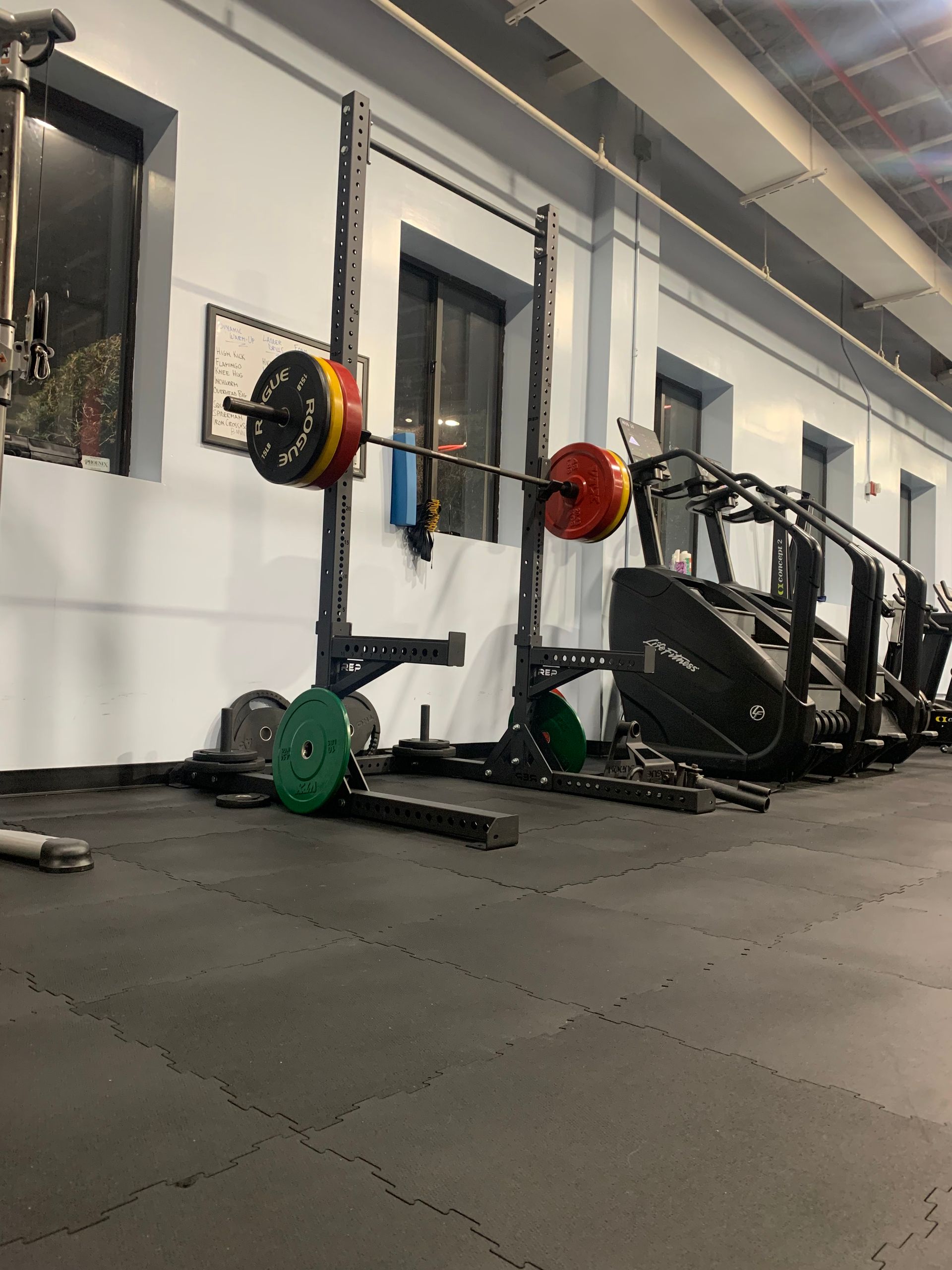 A gym with a row of barbells and a treadmill.