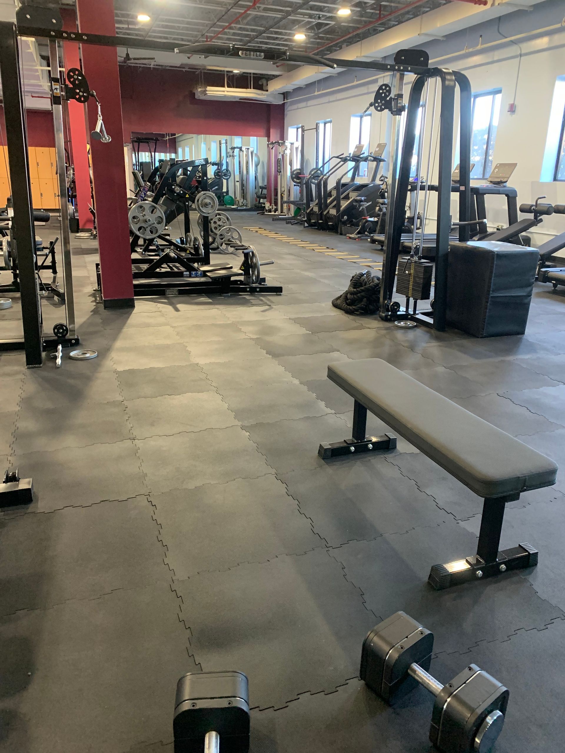 A gym with a bench and dumbbells in it.