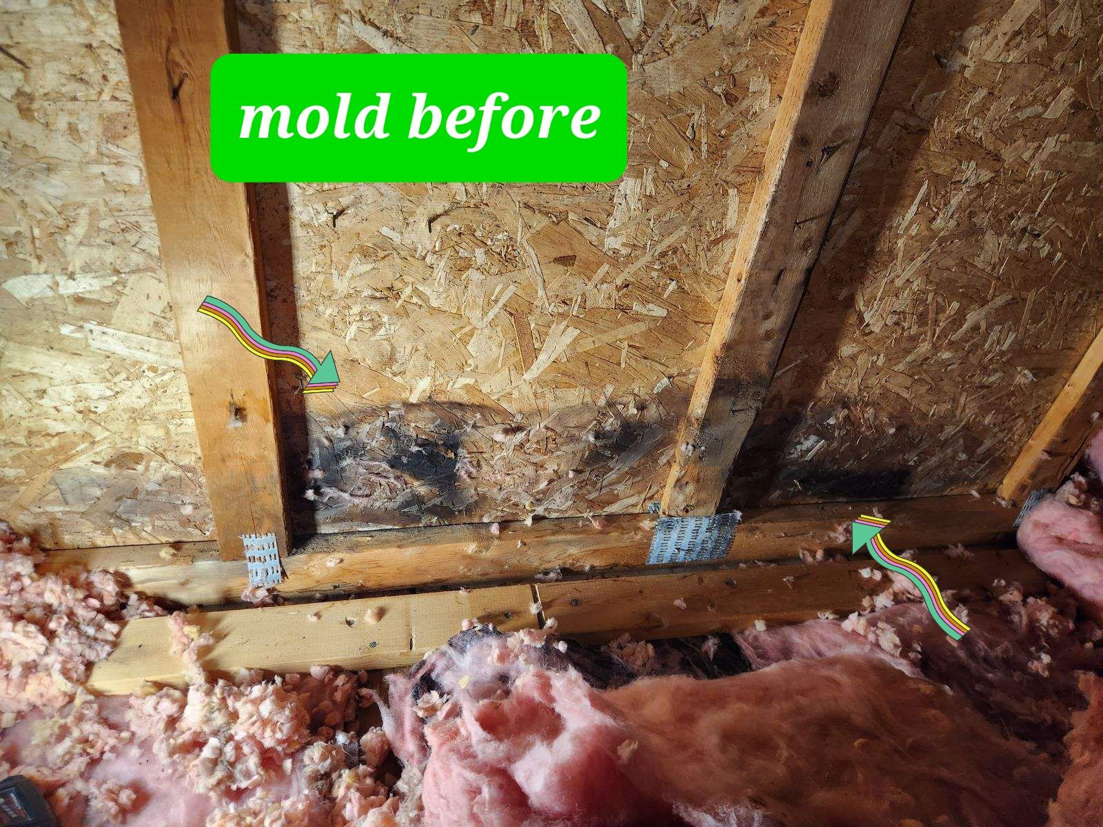 A picture of a house with a green sign that says mold before.