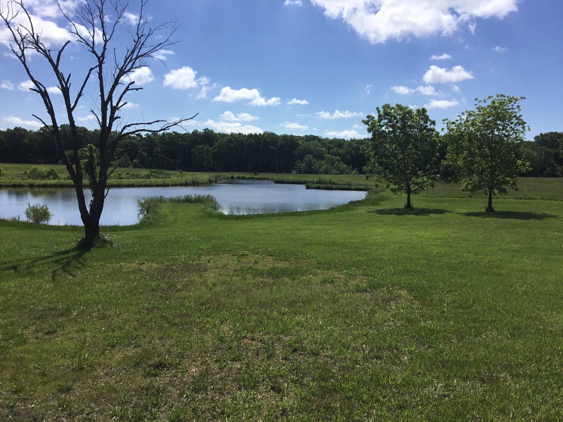 Dog Boarding Services