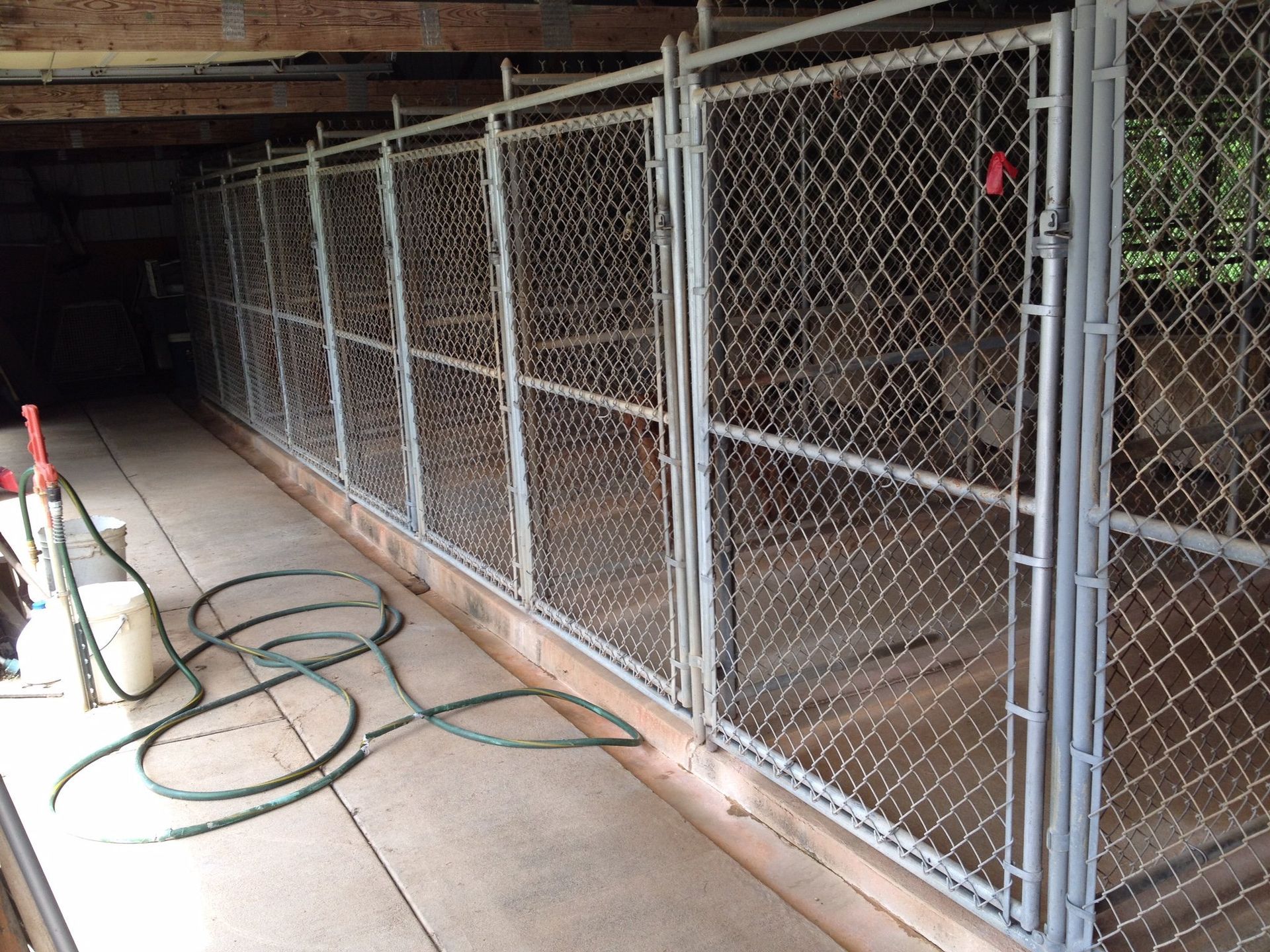 Dog Boarding Services