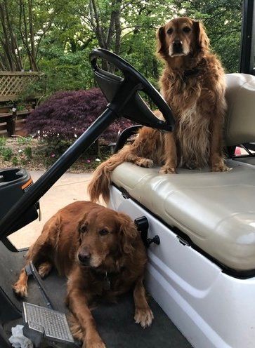 Eryn, on seat and Glayva, below