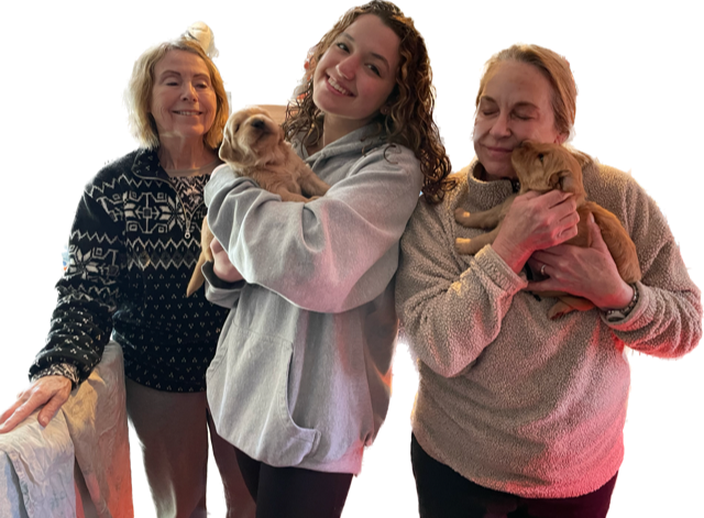 three women are holding small dogs in their arms