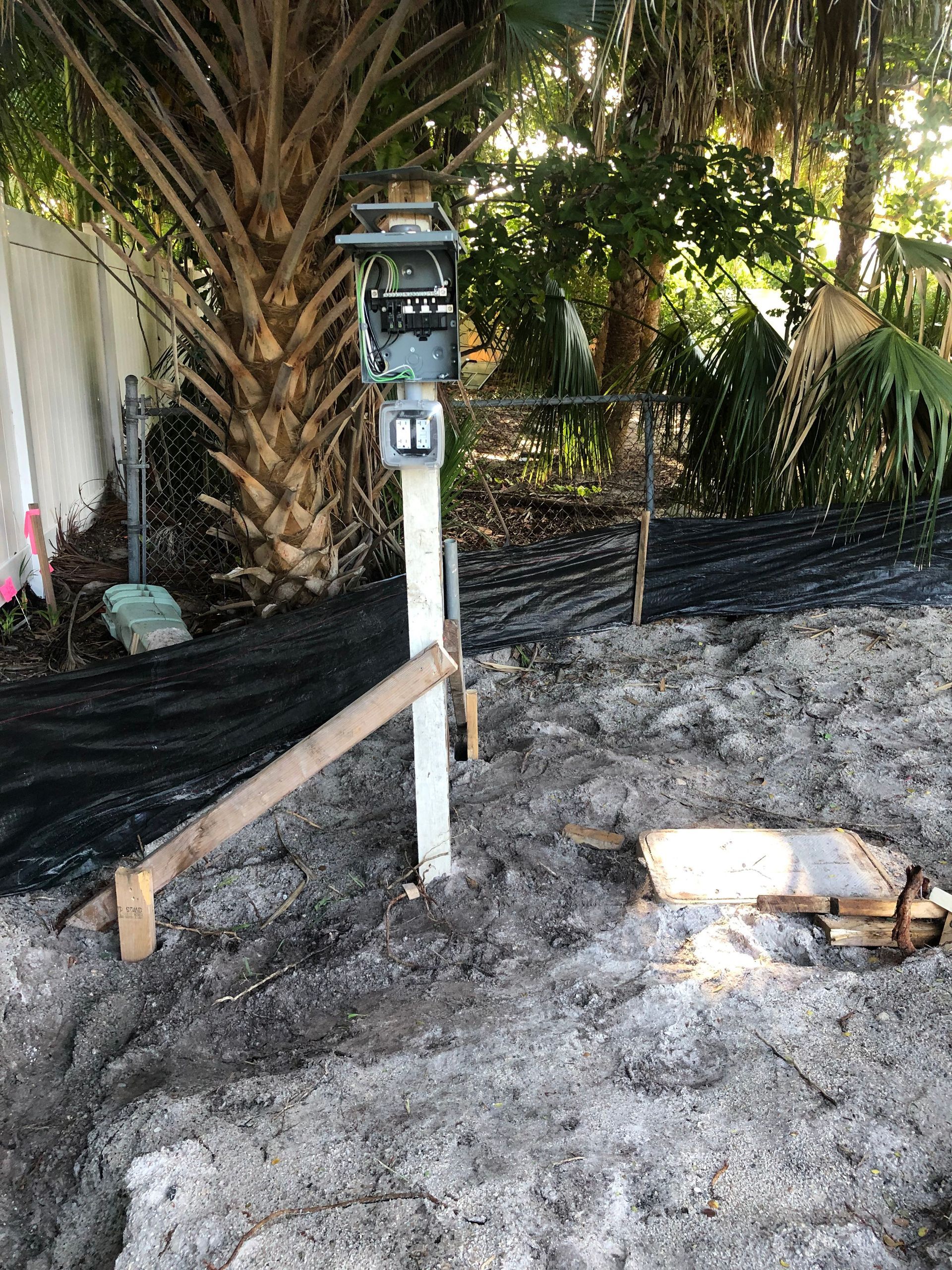 A white pole is sitting in the dirt next to a palm tree.