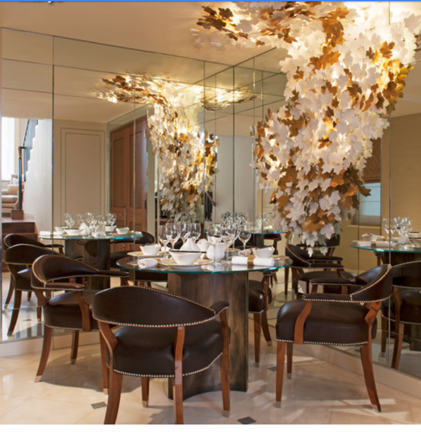 a dining room with tables and chairs and a tree in the background.