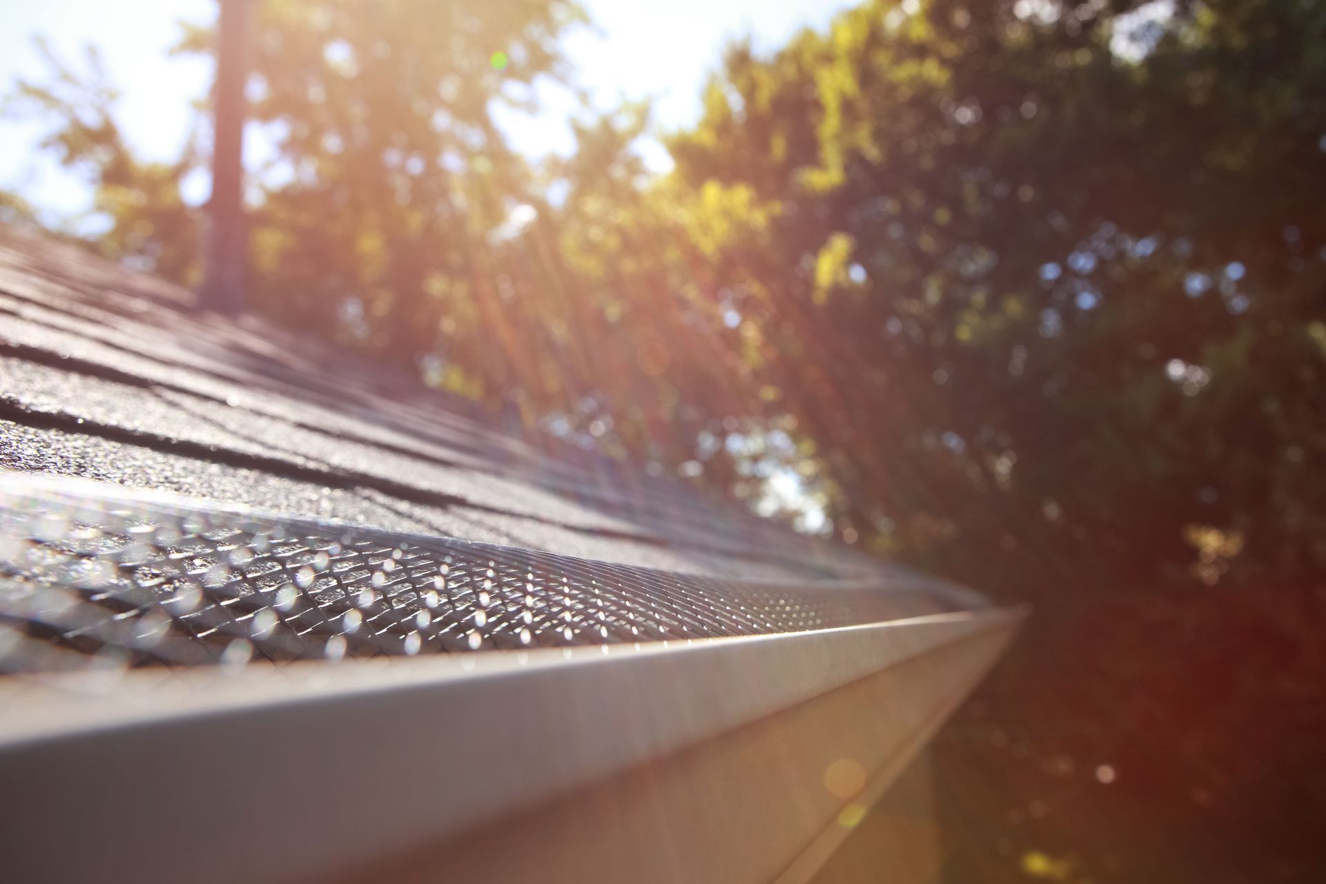 Rain droplets on a roof edge in warm sunlight with blurred trees in the background