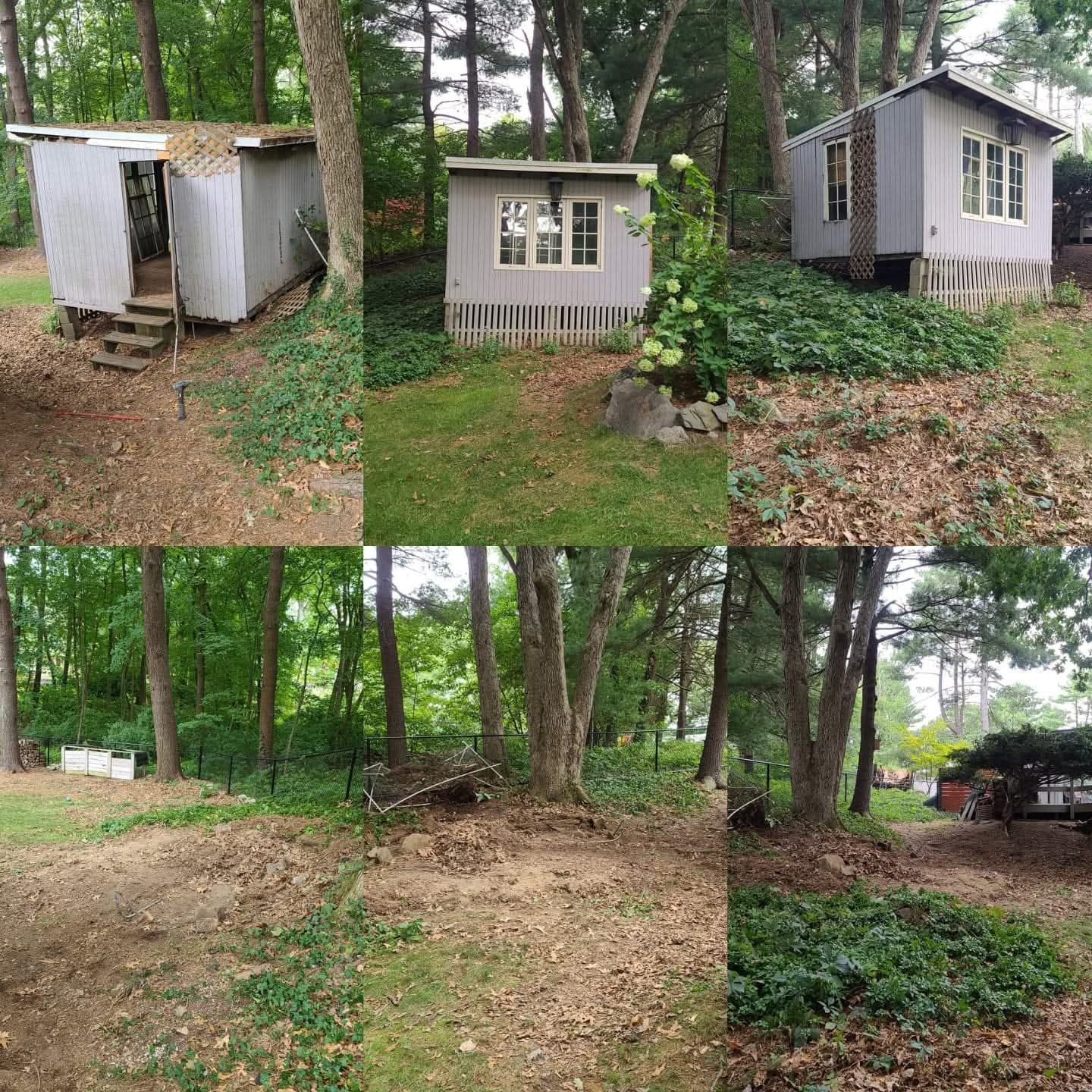 Collage: Three sheds and a forested yard with leaf piles and greenery.
