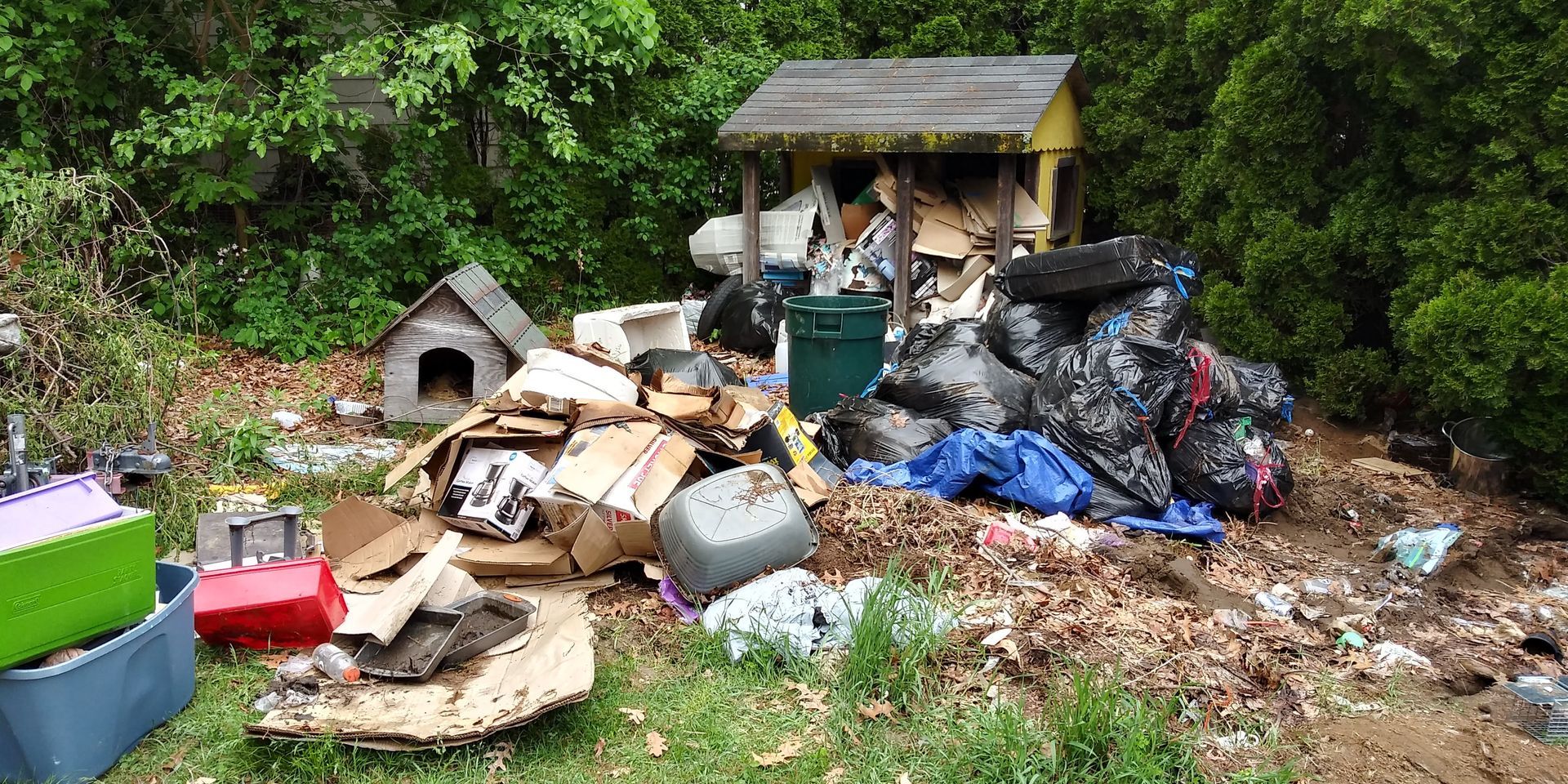 A cluttered yard with trash bags, cardboard boxes, and debris. Two dog houses and a trash bin are also visible.