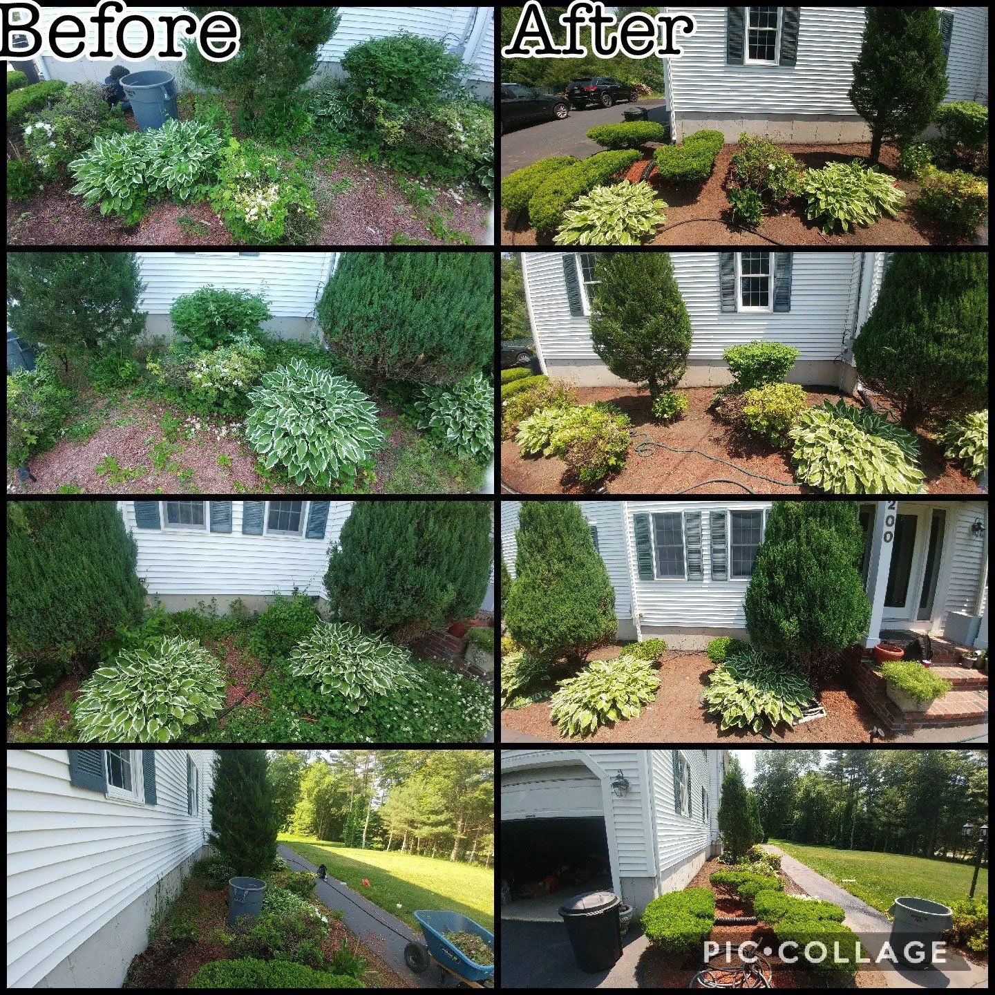 Junk removal services