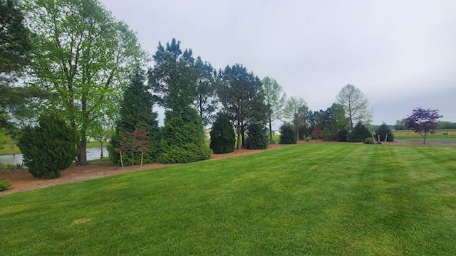 A lush green field surrounded by trees and bushes on a cloudy day.