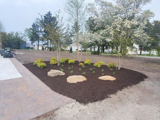 A garden with trees and rocks surrounded by mulch