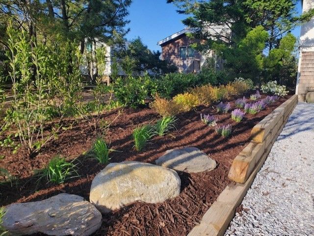 A lush green garden with a house in the background