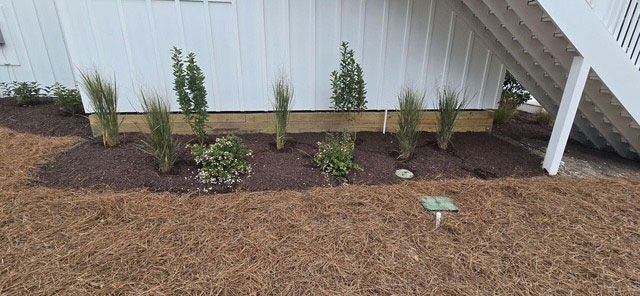 A white house with a flower bed. The bed has plants and brown mulch, with pine straw around it.