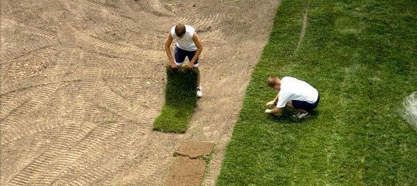 Sod installation