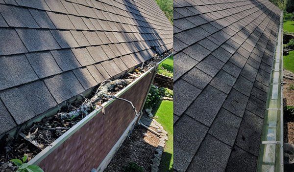 Gutter cleaning