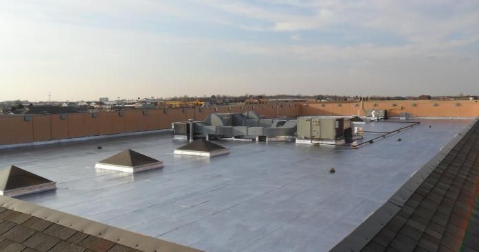 Commercial roofing with ducks