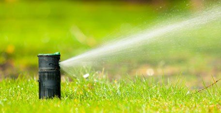 Lawn sprinkler