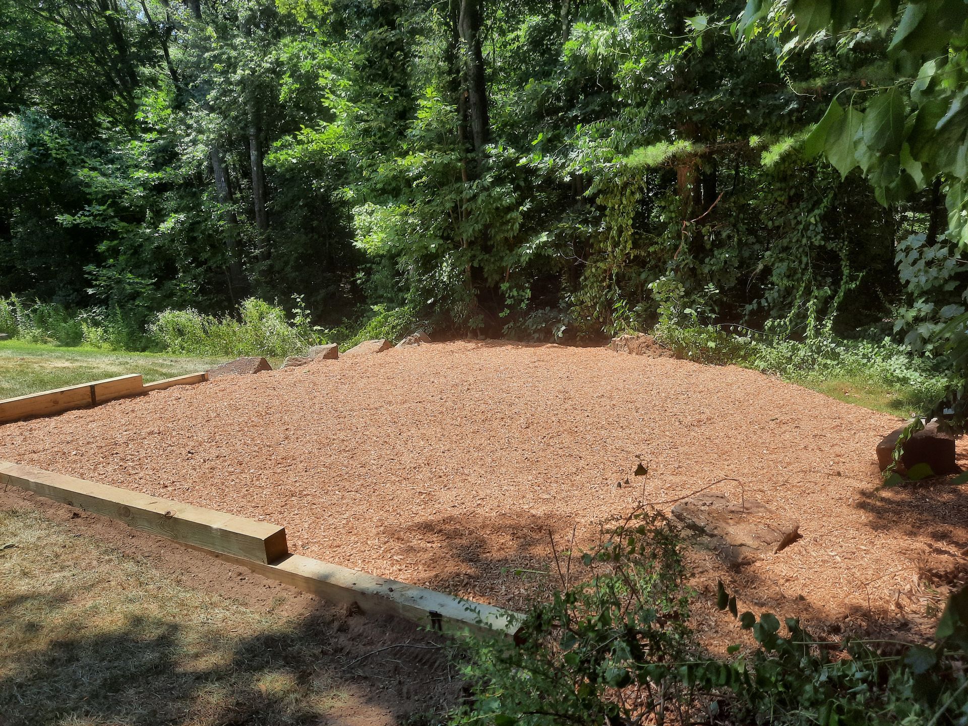 a pile of mulch is sitting in the middle of a forest