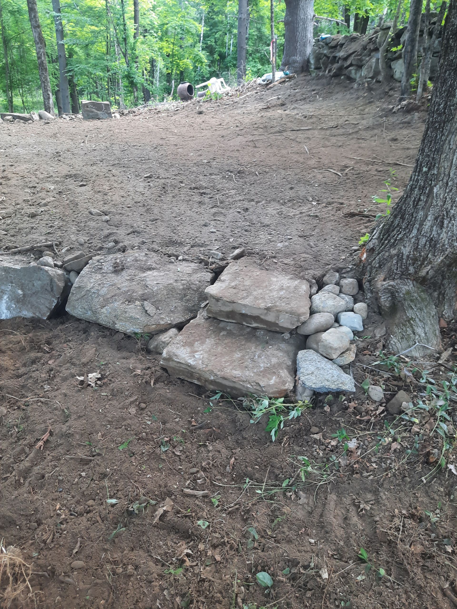 a pile of rocks sitting on top of a dirt field next to a tree