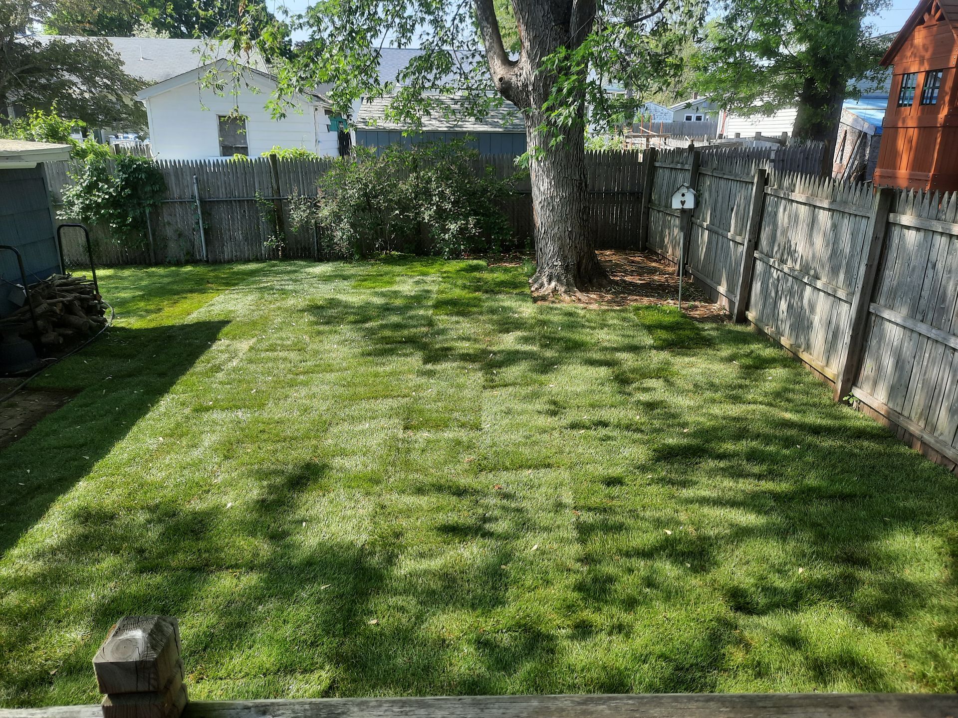 a backyard with a fence and a lush green lawn
