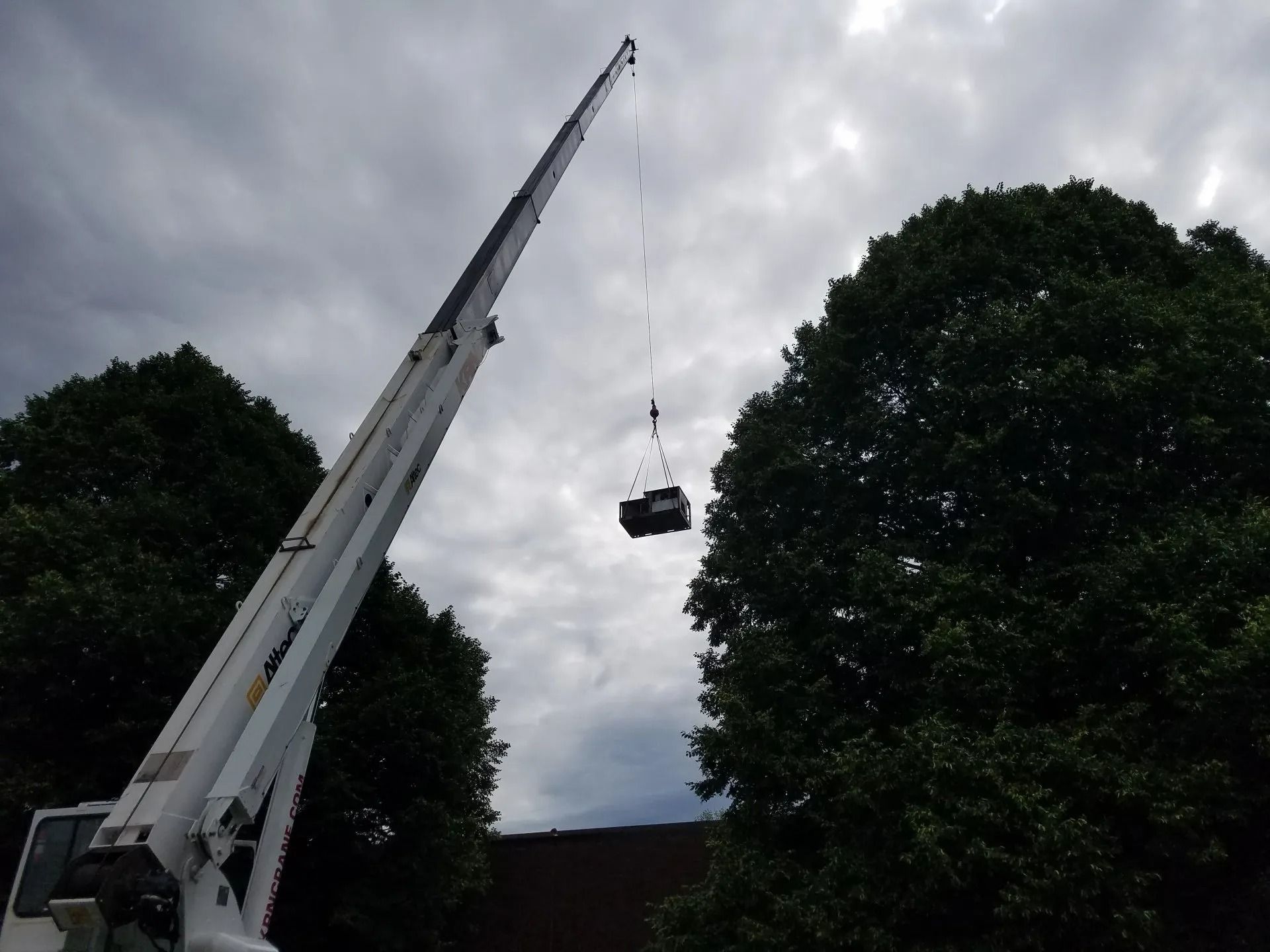 Crane lifting a box between trees against a cloudy sky.